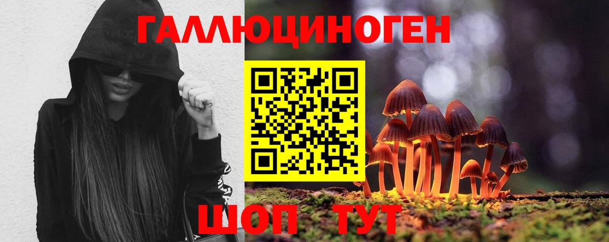 Псилоцибиновые грибы Psilocybine cubensis Нижний Тагил